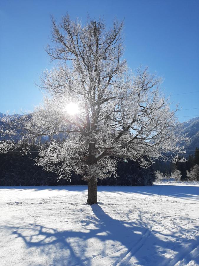 Alpenlodge Kirchbach Kirchbach (Carinthia)